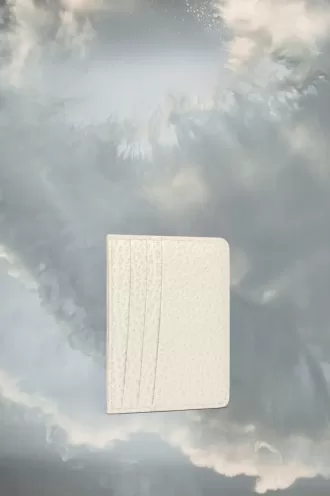 Porte-cartes à quatre points