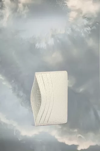 Porte-cartes à quatre points